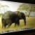 Retina Display Quality